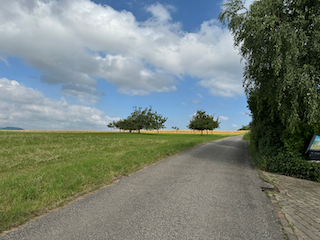 Ein Bild, das draußen, Gras, Wolke, Himmel enthält.

Automatisch generierte Beschreibung