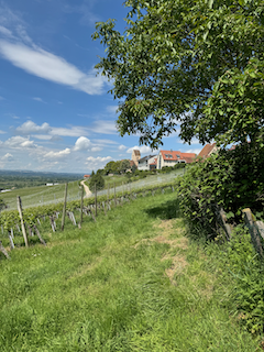 Ein Bild, das draußen, Gras, Wolke, Himmel enthält.

Automatisch generierte Beschreibung