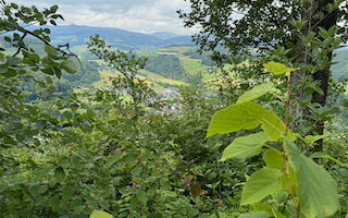 Ein Bild, das draußen, Himmel, Natur, Wolke enthält. Automatisch generierte Beschreibung