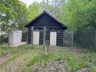 Ein Bild, das draußen, Pflanze, Baum, Gras enthält.

Automatisch generierte Beschreibung