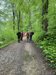 Ein Bild, das draußen, Wandern, Weg, Gelände enthält.

Automatisch generierte Beschreibung