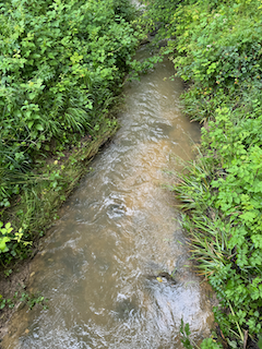 Ein Bild, das draußen, Wasser, Baum, Strom enthält.

Automatisch generierte Beschreibung