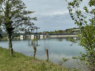 Ein Bild, das draußen, Wasser, Gras, Baum enthält.

Automatisch generierte Beschreibung