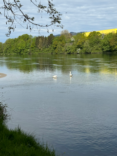 Ein Bild, das draußen, Wasser, Ufer, Gras enthält.

Automatisch generierte Beschreibung