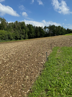 Ein Bild, das draußen, Wolke, Gras, Himmel enthält.

Automatisch generierte Beschreibung