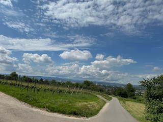 Ein Bild, das draußen, Wolke, Himmel, Gras enthält.

Automatisch generierte Beschreibung