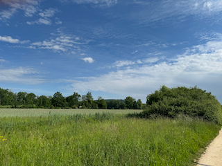 Ein Bild, das draußen, Wolke, Himmel, Natur enthält.

Automatisch generierte Beschreibung