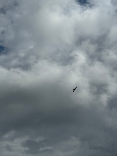 Ein Bild, das Wolke, Himmel, draußen, Wolkig enthält.

Automatisch generierte Beschreibung