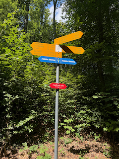 Ein Bild, das Baum, draußen, Pflanze, Schild enthält.

Automatisch generierte Beschreibung