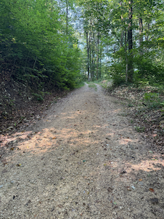 Ein Bild, das draußen, Baum, Gelände, Naturstraße enthält.

Automatisch generierte Beschreibung