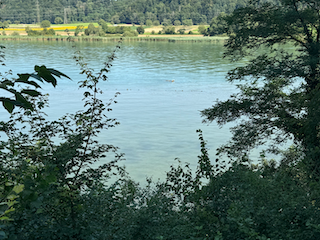 Ein Bild, das draußen, Baum, Wasser, Ufer enthält.

Automatisch generierte Beschreibung