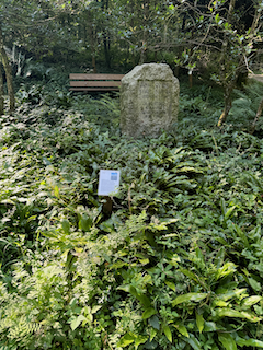 Ein Bild, das draußen, Grab, Baum, Friedhof enthält.

Automatisch generierte Beschreibung