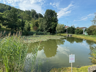 Ein Bild, das draußen, Gras, Pflanze, Wolke enthält.

Automatisch generierte Beschreibung