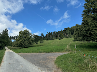 Ein Bild, das draußen, Gras, Wolke, Himmel enthält.

Automatisch generierte Beschreibung