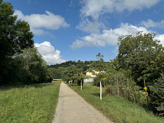 Ein Bild, das draußen, Gras, Wolke, Himmel enthält.

Automatisch generierte Beschreibung