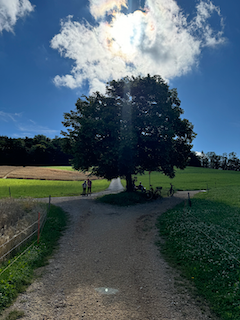 Ein Bild, das draußen, Gras, Wolke, Himmel enthält.

Automatisch generierte Beschreibung