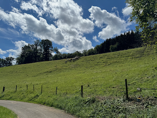 Ein Bild, das draußen, Gras, Wolke, Landschaft enthält.

Automatisch generierte Beschreibung