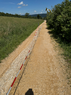 Ein Bild, das draußen, Himmel, Gelände, Gras enthält.

Automatisch generierte Beschreibung