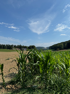 Ein Bild, das draußen, Himmel, Gras, Wolke enthält.

Automatisch generierte Beschreibung