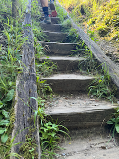 Ein Bild, das draußen, Treppe, Gras, Baum enthält.

Automatisch generierte Beschreibung