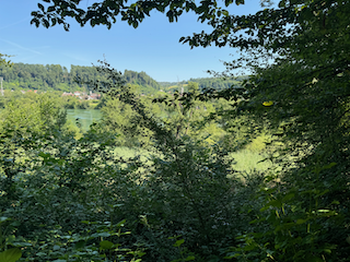 Ein Bild, das draußen, Vegetation, Himmel, Landschaft enthält.

Automatisch generierte Beschreibung