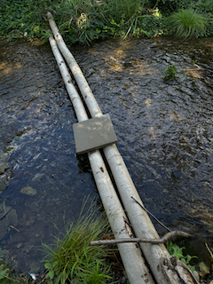 Ein Bild, das draußen, Wasser, Gras, Gelände enthält.

Automatisch generierte Beschreibung