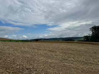 Ein Bild, das draußen, Wolke, Gras, Himmel enthält.

Automatisch generierte Beschreibung