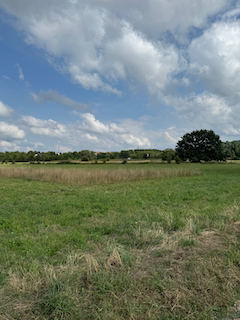 Ein Bild, das draußen, Wolke, Himmel, Feld enthält.

Automatisch generierte Beschreibung