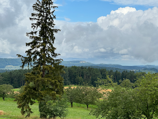 Ein Bild, das draußen, Wolke, Pflanze, Gras enthält.

Automatisch generierte Beschreibung