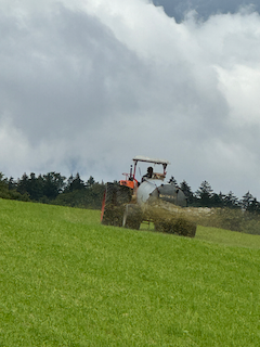 Ein Bild, das Gras, draußen, Himmel, Wolke enthält.

Automatisch generierte Beschreibung