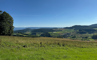 Ein Bild, das Gras, draußen, Landschaft, Grasland enthält. Automatisch generierte Beschreibung