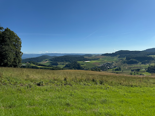 Ein Bild, das Gras, draußen, Landschaft, Grasland enthält.

Automatisch generierte Beschreibung