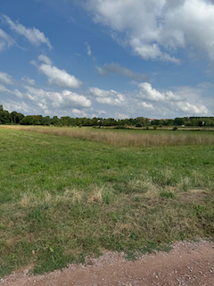 Ein Bild, das Gras, draußen, Wolke, Himmel enthält.

Automatisch generierte Beschreibung