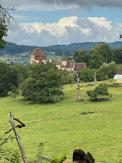 Ein Bild, das Gras, draußen, Wolke, Pflanze enthält.

Automatisch generierte Beschreibung