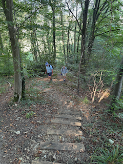 Ein Bild, das draußen, Baum, Pflanze, Wandern enthält.

Automatisch generierte Beschreibung