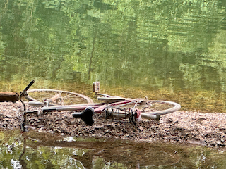 Ein Bild, das draußen, Baum, Wasser, Pflanze enthält.

Automatisch generierte Beschreibung