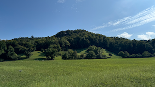 Ein Bild, das draußen, Feld, Landschaft, Baum enthält. Automatisch generierte Beschreibung