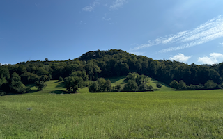 Ein Bild, das draußen, Feld, Landschaft, Baum enthält. Automatisch generierte Beschreibung