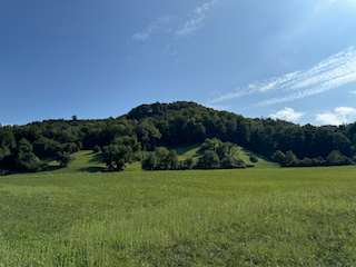 Ein Bild, das draußen, Feld, Landschaft, Baum enthält.

Automatisch generierte Beschreibung