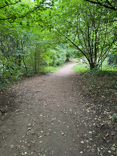 Ein Bild, das draußen, Gelände, Straße, Wald enthält.

Automatisch generierte Beschreibung