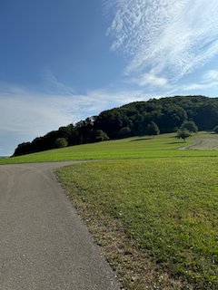 Ein Bild, das draußen, Gras, Himmel, Wolke enthält.

Automatisch generierte Beschreibung