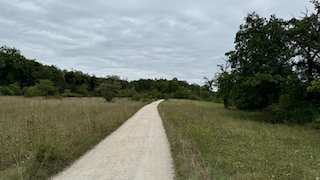 Ein Bild, das draußen, Gras, Himmel, Wolke enthält. Automatisch generierte Beschreibung