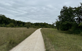 Ein Bild, das draußen, Gras, Himmel, Wolke enthält. Automatisch generierte Beschreibung