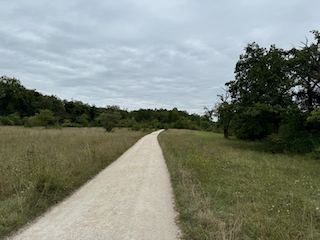 Ein Bild, das draußen, Gras, Himmel, Wolke enthält.

Automatisch generierte Beschreibung