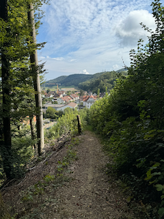 Ein Bild, das draußen, Wolke, Himmel, Baum enthält.

Automatisch generierte Beschreibung