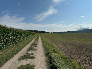 Ein Bild, das draußen, Wolke, Himmel, Gras enthält.

Automatisch generierte Beschreibung